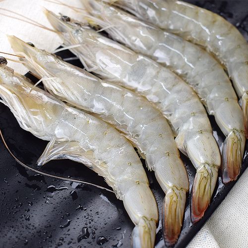 大连野生海大虾对虾新鲜基围虾虾青虾明虾大海冻虾