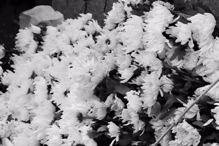 全城送别万人悲痛两位英雄一路走好我们永远记住您