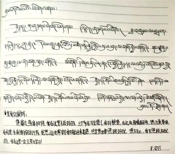 我在一师过的温情春节西藏山南班愿春来疫去扎西德勒