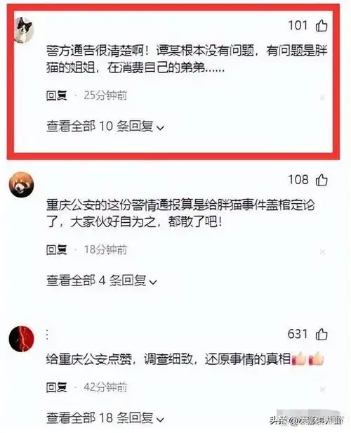 真相大白!重庆警方揭露胖猫事件,胖猫姐姐竟是罪魁祸首!