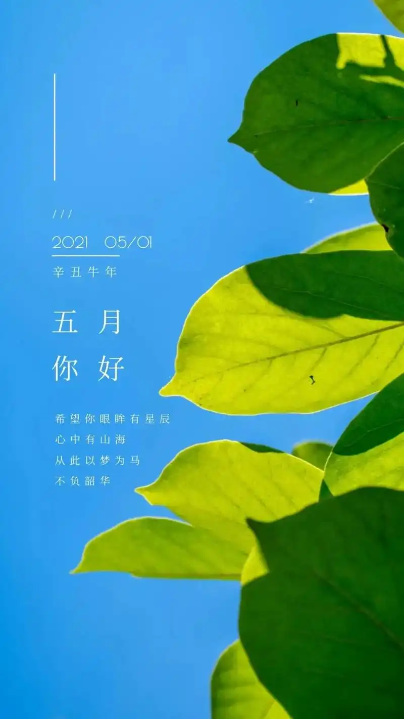 5月你好图片朋友圈配图大全加文字,五月你好文案心情说说句子