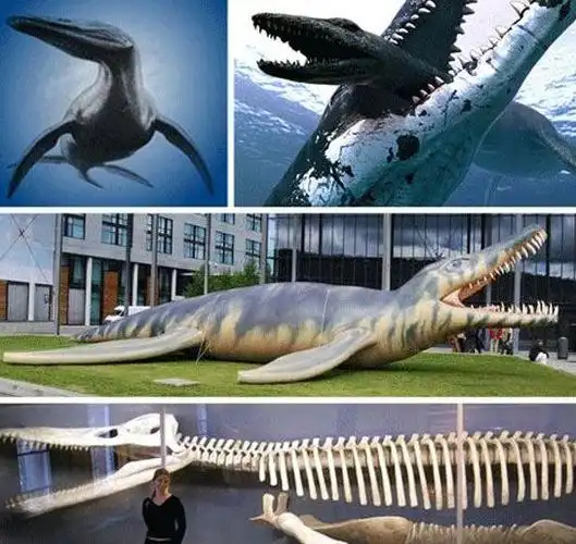 动物界十大灭绝史前动物:泰坦巨蟒超1吨重