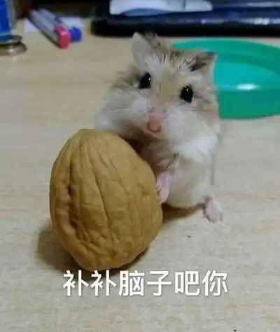 仓鼠可爱表情包