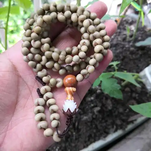 金佛草菩提子绿色佛珠手链手串日进斗金菩提佛珠