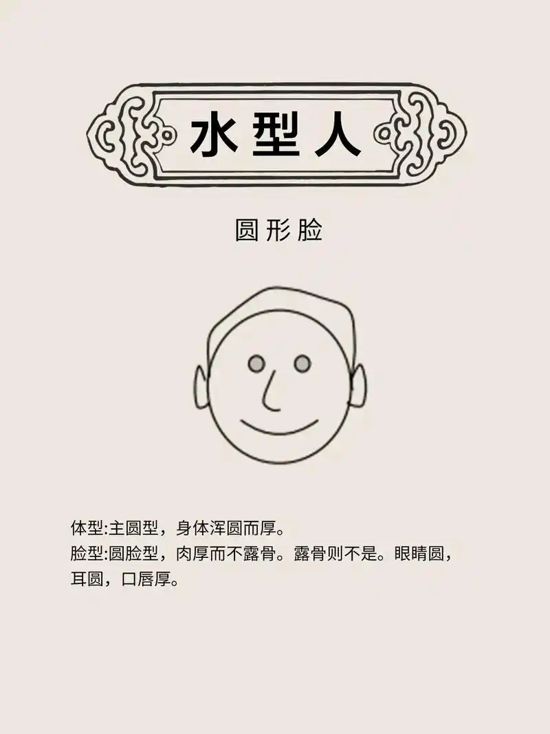 水型人解读979797 #面相 #相由心生 #面相给你的第一 - 抖音