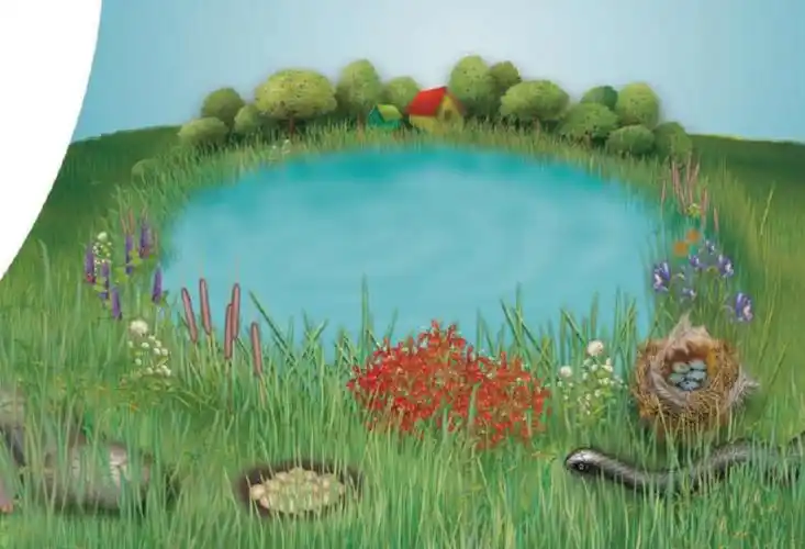 徐园媛vivi大声朗读了英语绘本:down by the pond,大家快来听啊!