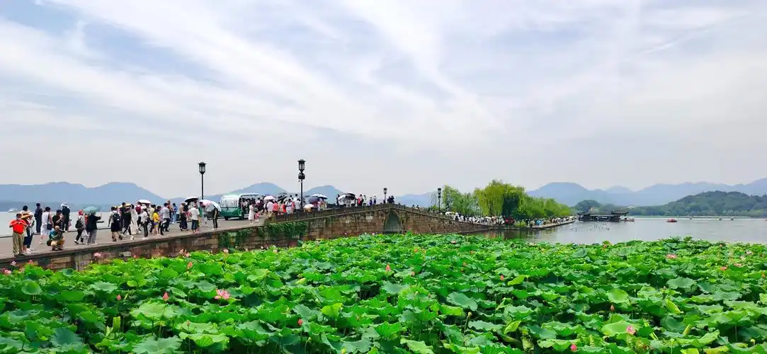 杭州西湖断桥夏日旅游风景