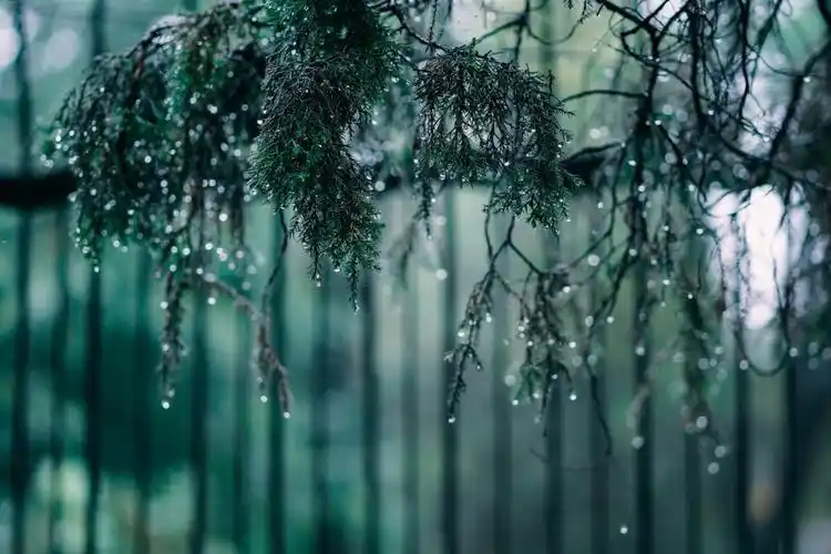 西安雨停了普天同庆