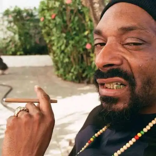 满屏都是热辣的大屁股妞狗爷全新mvgoon上线