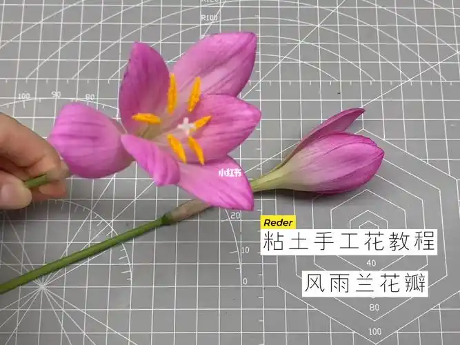 手作教程韭莲风雨兰粘土花