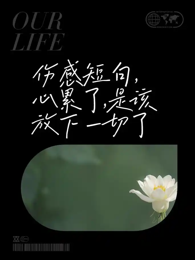 伤感短句,心累了,是该放下一切了