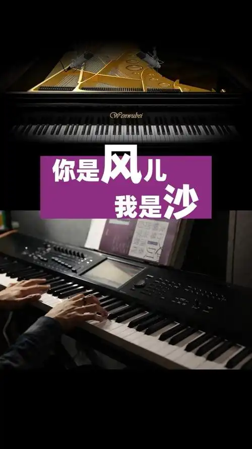 你是风儿我是沙(钢琴版)