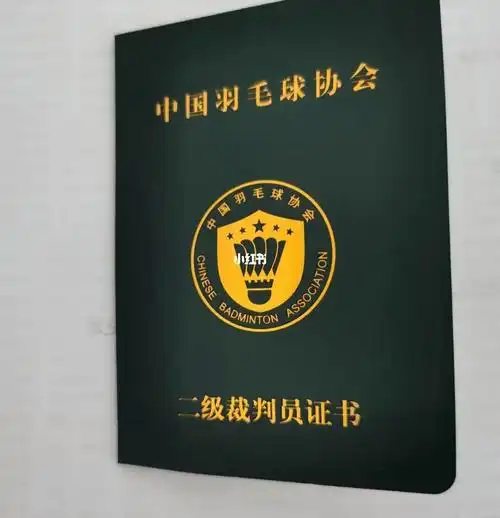 羽毛球裁判应该怎么报名?