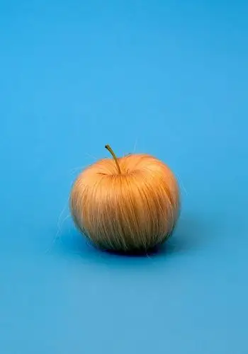 fruits and vegetables into common objects in her personal "tutti