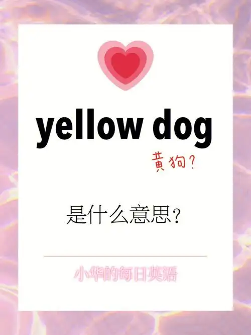 每日英语yellowdog是什么意思
