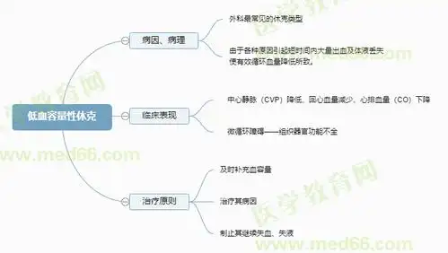 低血容量性休克2022主管护师考试考点小结