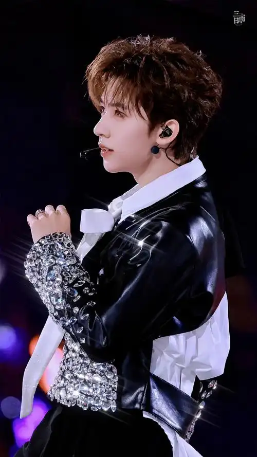 贺峻霖理想之途演唱会