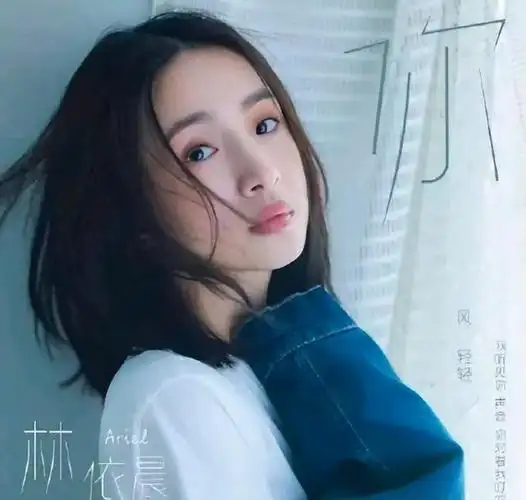 微博上,铺天盖地的是"恋爱脑又犯了"的感叹,仿佛林依晨用歌