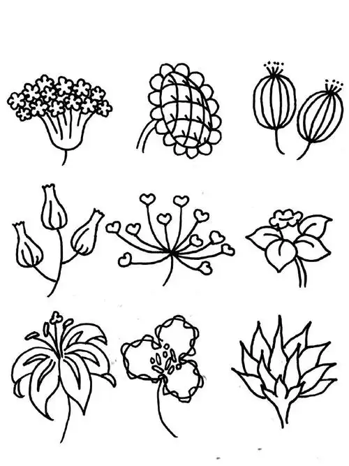 花朵简笔画图片大全,81种花朵简笔画简单又好看