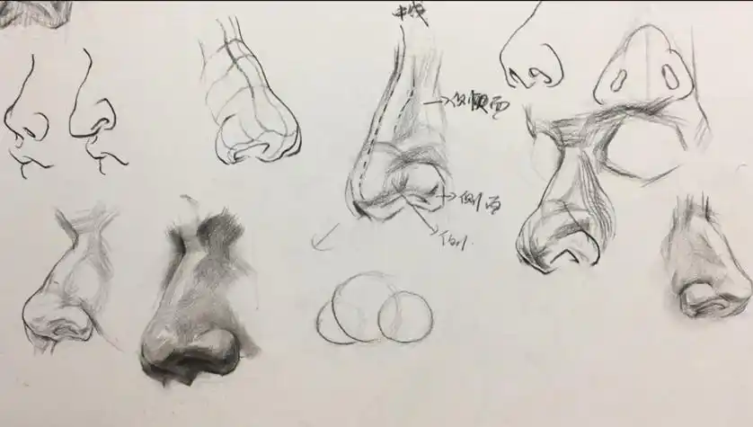 鼻子的画法讲解 不同角度展现方法 光影处理石膏五官基础素描教程