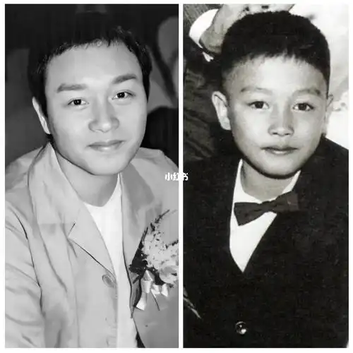 哥哥小时候超级可爱啊787878#哥哥  #张国荣  #继续宠爱张国荣