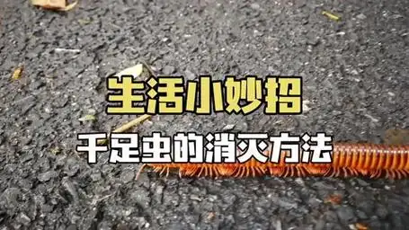 千足虫最好最快的消灭方法,消灭千足虫,这些方法你试过吗?