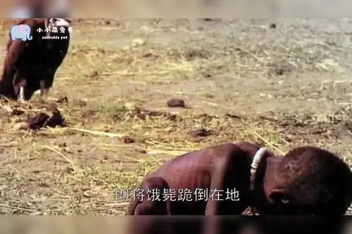 闻名世界的秃鹫和小女孩照片摄影师自杀小女孩结局如何