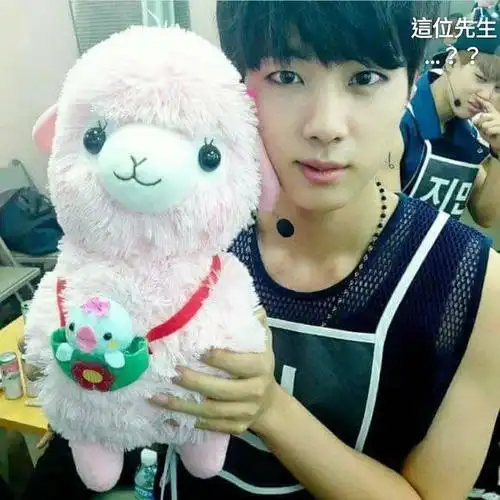 金硕珍出道前喜欢的粉色小羊驼