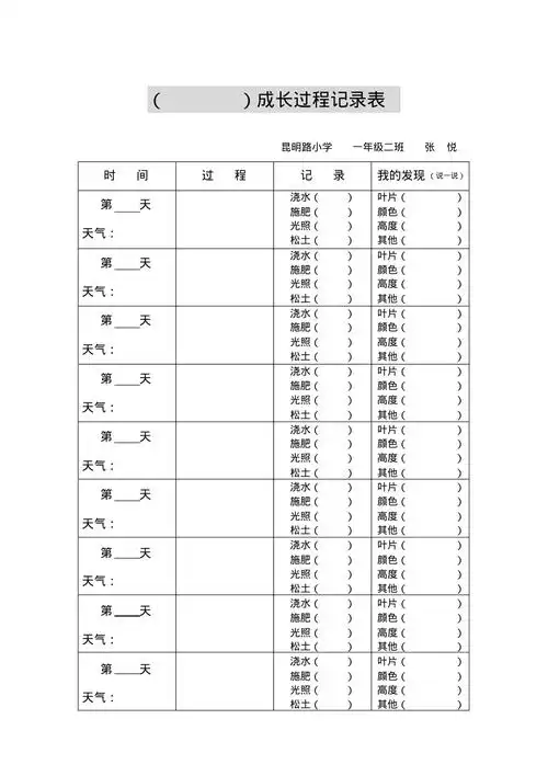 小学生种子成长过程记录表