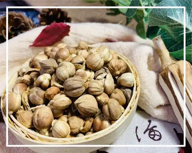 香料白扣白豆蔻250g特级炖肉火锅卤料配料卤菜其他药食同源食品