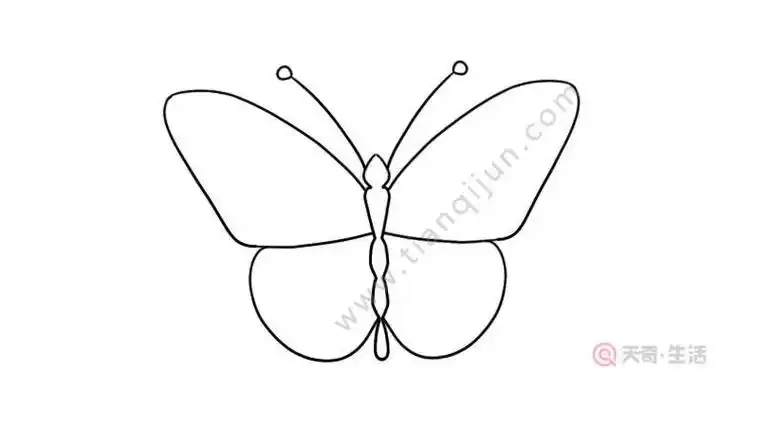 对称之美简笔画