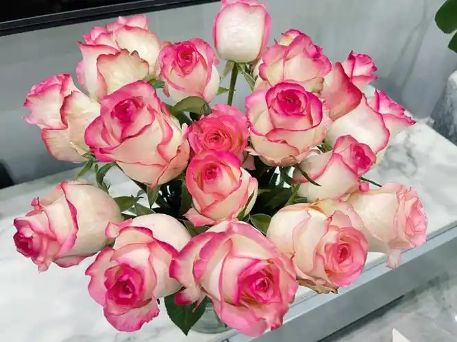 鲜花市场买的,醒花一小时#艾莎玫瑰之前买的香槟玫瑰和向日葵97也