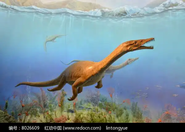 远古海洋恐龙高清图片下载_红动中国