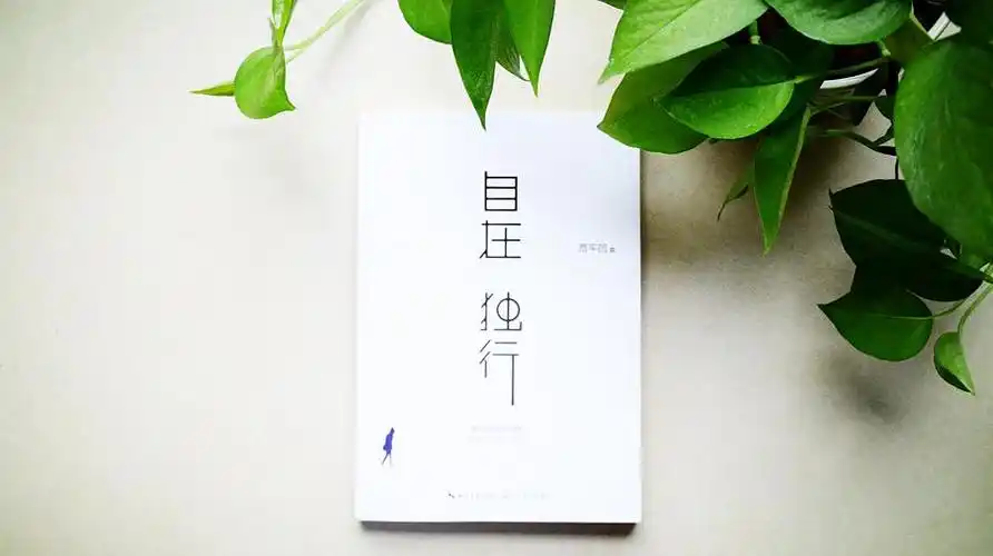 《自在独行》读书感悟(1)人生那么长,你着什么急?