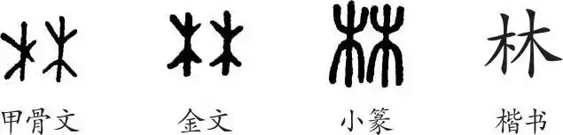 《林》字义,《林》字的字形演变,小篆隶书楷书写法《林》