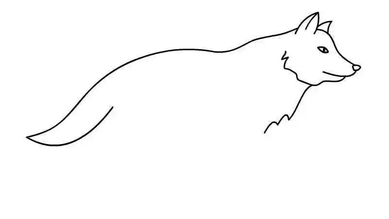 狼简笔画的画法 狼简笔画的教程