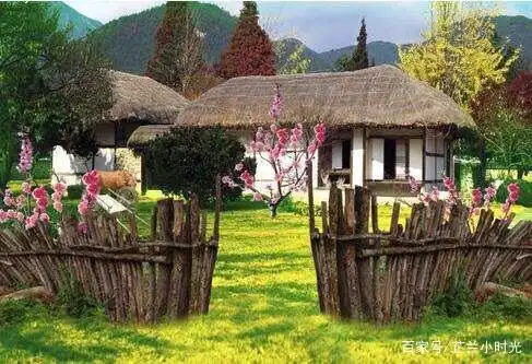 有人说农家小院租期最长可达20年,退休后你想去农村租房养老吗?