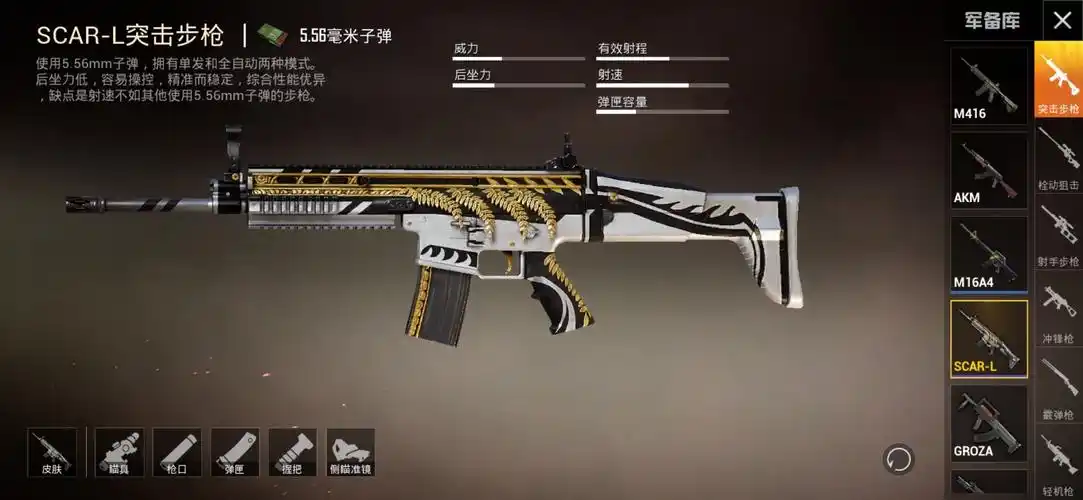 2scar_l黄金龙骨金玉特工套装sks-玉龙mini14黄金龙骨,ump45金玉嗡