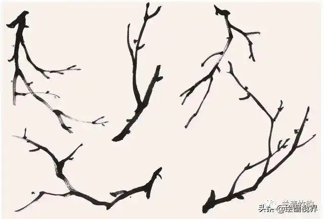 怎样画梅花国画梅花常见枝干的画法