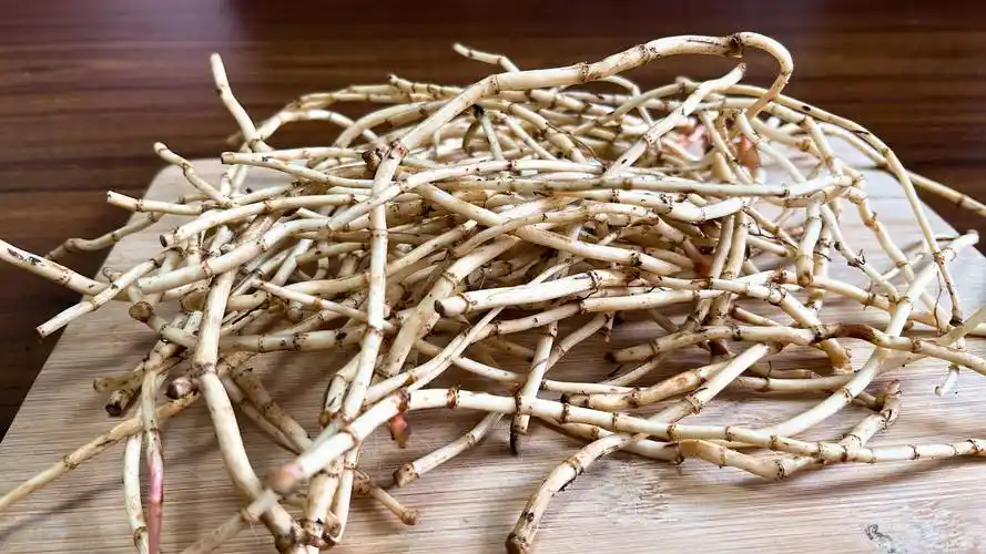 春夏交替之际,多吃4种"降火菜",清淡爽口,精神饱满过夏天_芹菜_折耳根