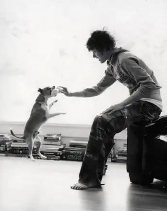 izaya的相册-shane(the l word)