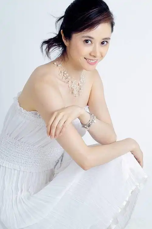 何美钿 mei-tian he的图片