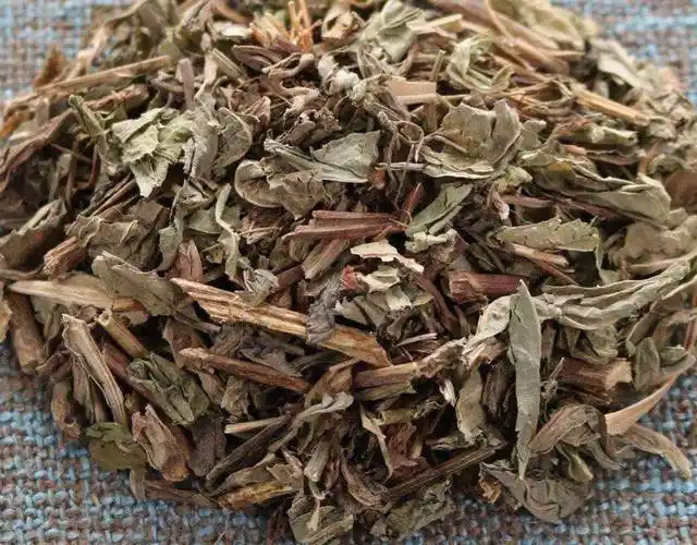 每日中药败酱草