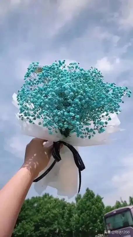 满天星壁纸‖所爱隔山海,山海皆可平