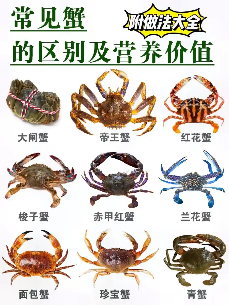 常见螃蟹的区别及营养价值!后面有美食教程!拿捏90 - 抖音