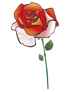 手绘一朵红色玫瑰花