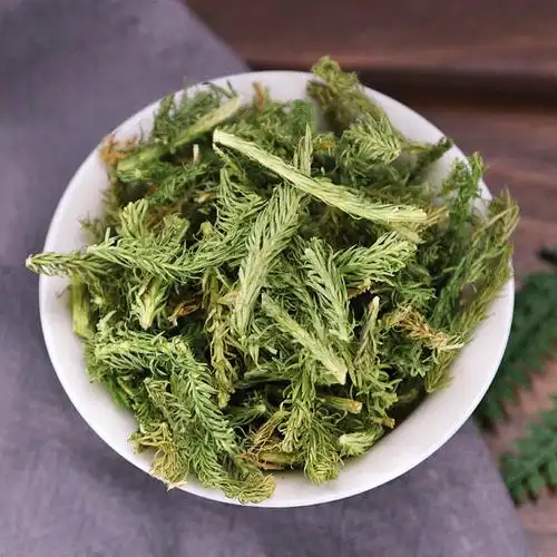 筋草中药材500g克正宗新鲜石松神松申通舒生筋草粉小伸筋草泡脚【图片