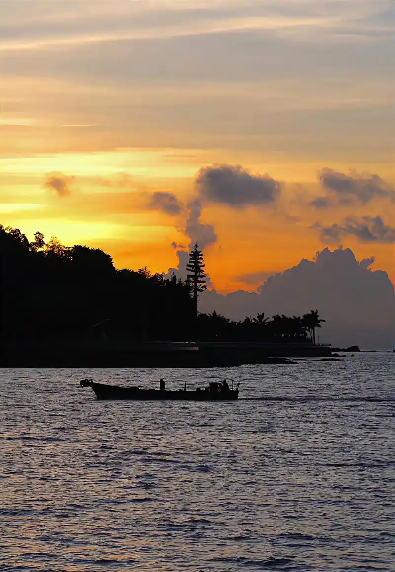 日出尤其温柔,人间皆是浪漫. 92 #这是一场赌上前程没有退路的战争