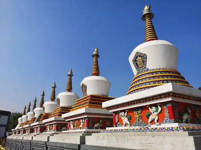 随心飞第六站甘肃青海西线(第七天枸杞养生苑-藏文化博物院-5a景区