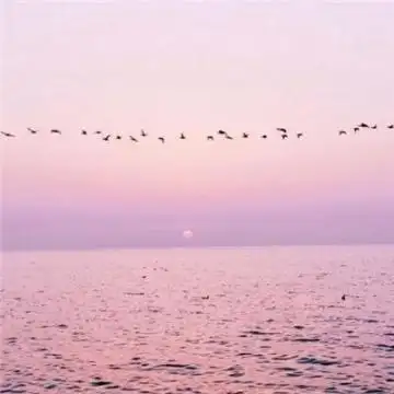 2020独一无二的微信头像意境图片 敬她岁月无波澜敬我余生不悲欢,风景